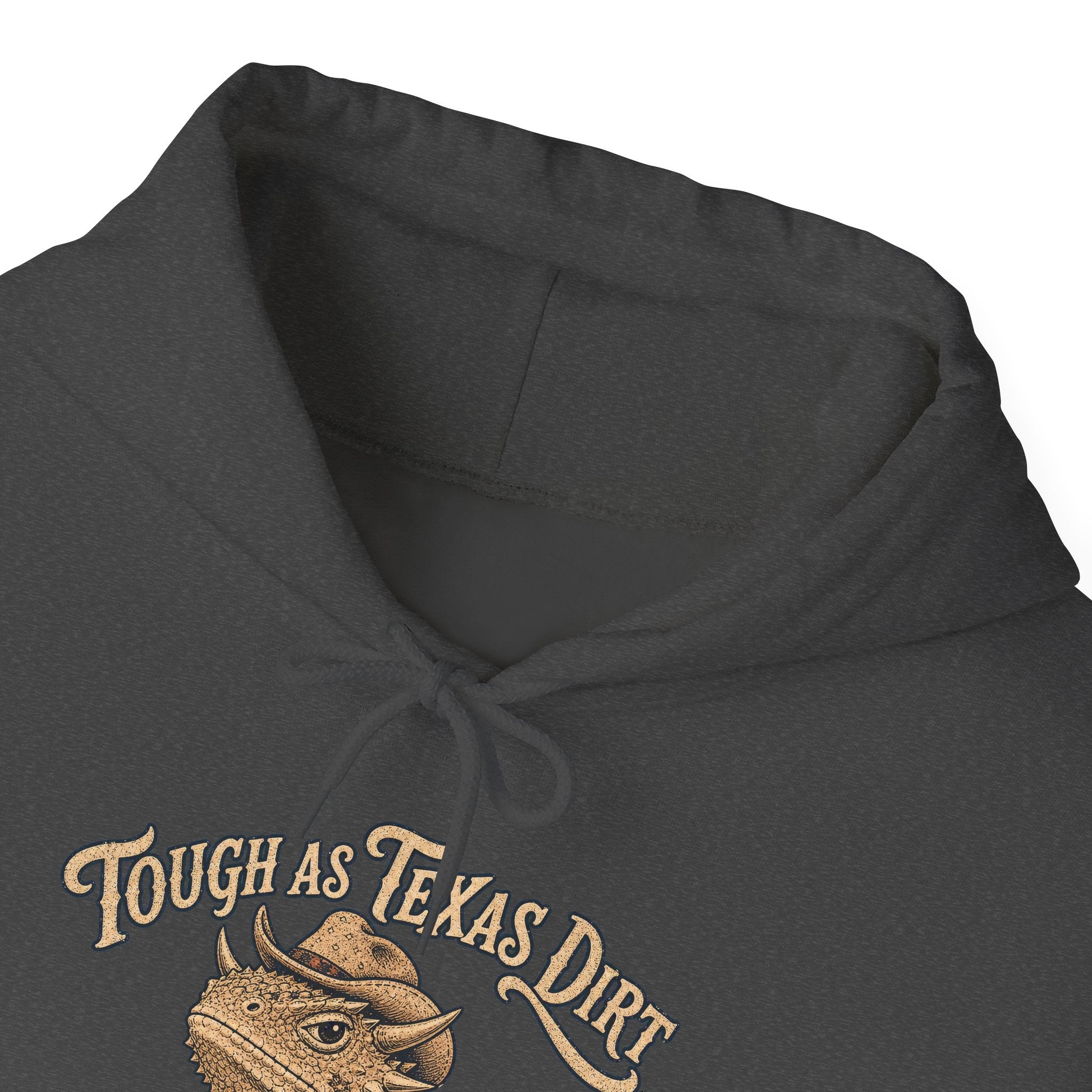 Home On The Range Longhorn Sunset Hoodie, Retro Western Desert Landscape Pullover Sweatshirt, Unisex Hoodie